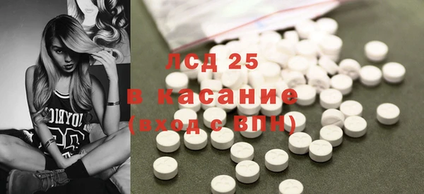 прущие грибы Балабаново