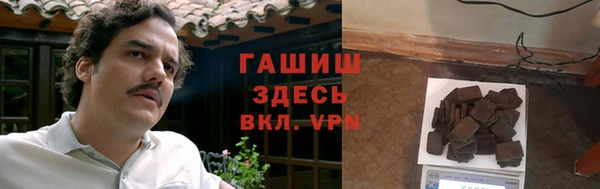 прущие грибы Балабаново